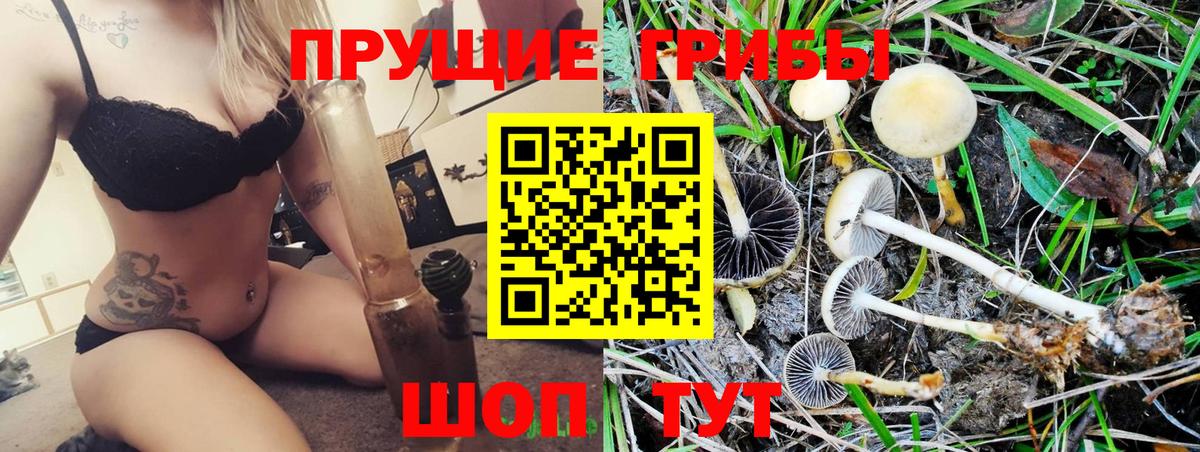 Галлюциногенные грибы Psilocybine cubensis Тула